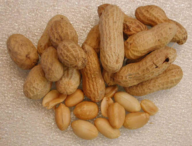 i peanuts